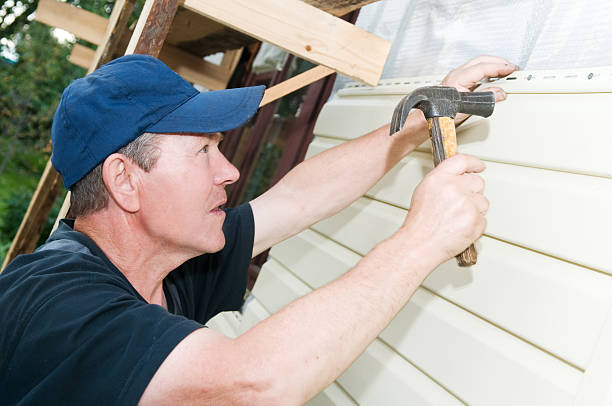 Best Siding Painting and Refinishing  in Castle Rock, CO