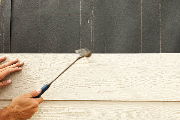 Best Storm Damage Siding Repair  in Castle Rock, CO
